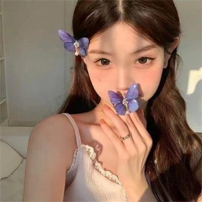 勒芒24小时2：分秒必争
